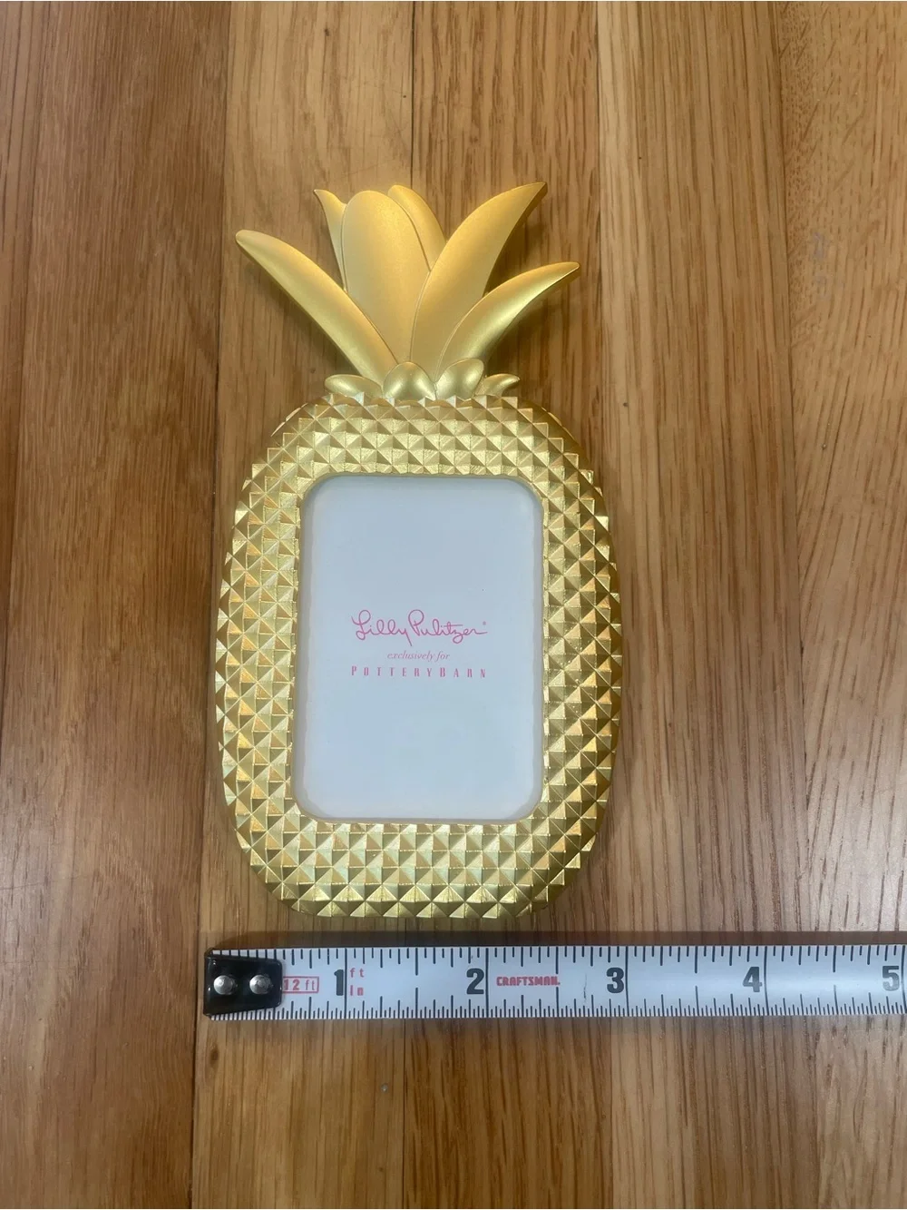 NEW Lilly Pulitzer Gold Pineapple Frame